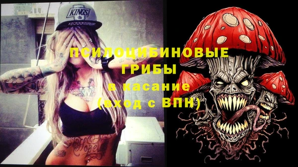 индика Бугульма